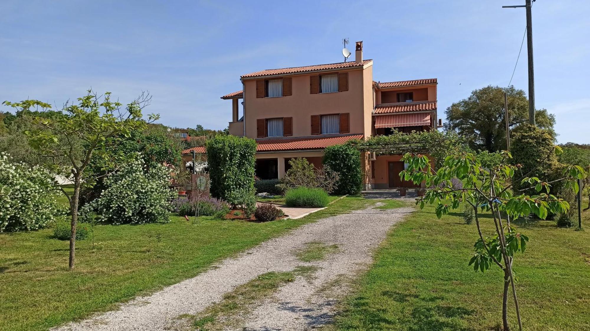 Olive Apartman