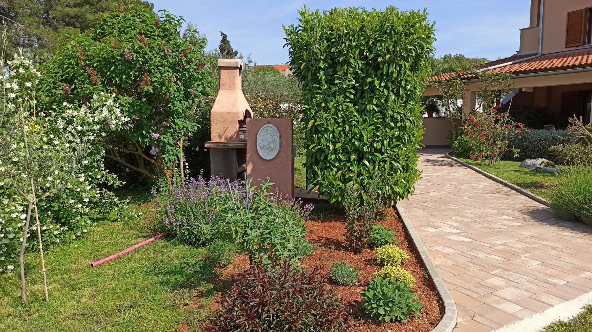 Apartman Olive