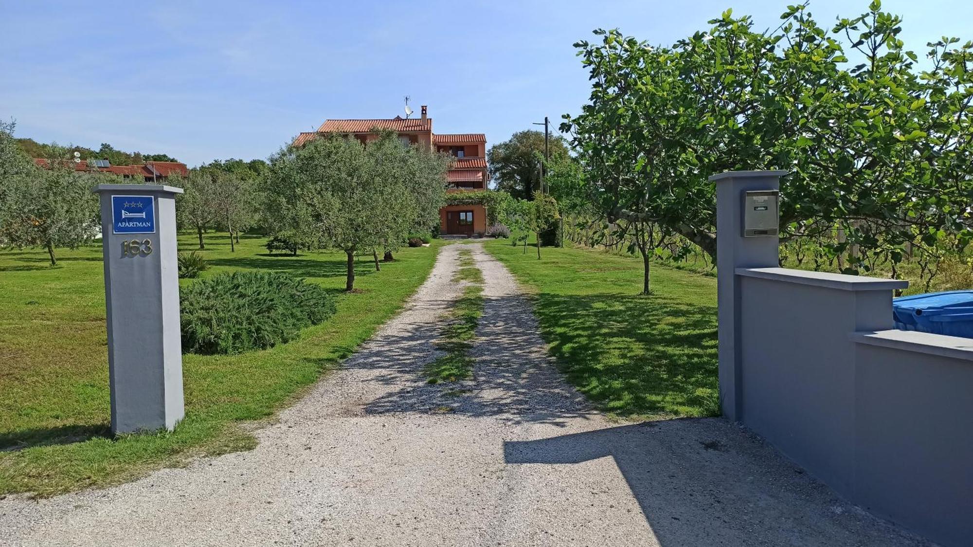 Apartman Olive